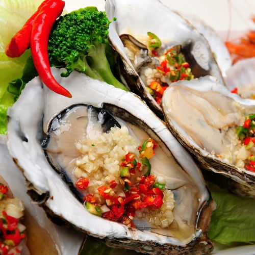 乳山生蠔鮮活一箱生蠔肉海蠣子牡蠣生鮮水產海鮮批發新鮮燒烤