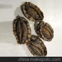 【青島直銷 海鮮 鮑魚 海鮮批發(fā) 鮑魚批發(fā)【圖】】價格,廠家,圖片,鮮活/冷凍水產(chǎn),青島旺福魚鄉(xiāng)水產(chǎn)品-