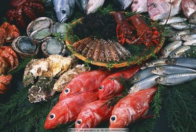 海鮮圖片