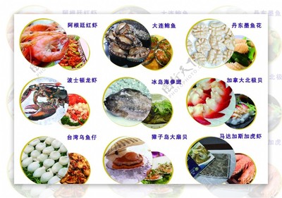中越天海鮮產(chǎn)品展示 編號(hào)08060239精選素材